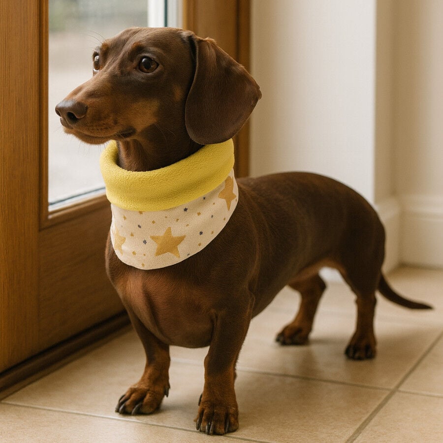Outech Bufanda Rock para perros, , large Imagen numero 1