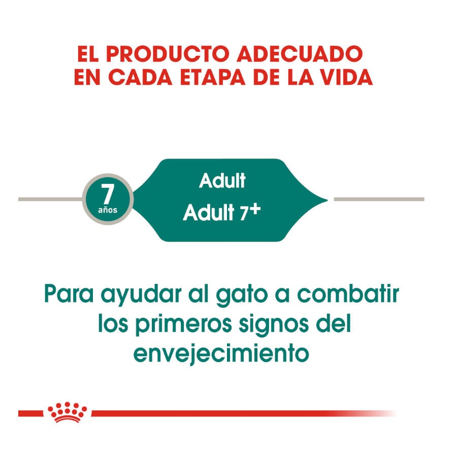85 g Royal Canin Senior 7+ Instinctive sobres para gatos, , large indicador imagen numero 6