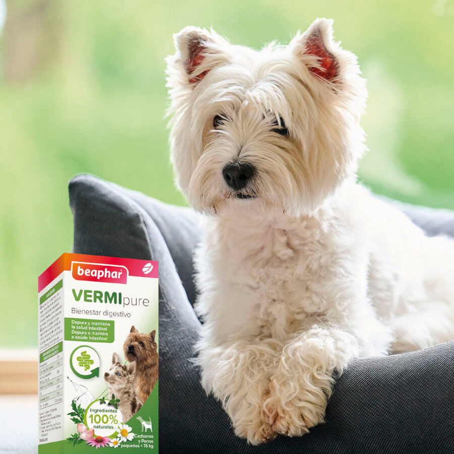 Beaphar Vermipure Repelente Interno Natural en comprimidos para perros peque&ntilde;os y cachorros, , large indicador imagen numero 7