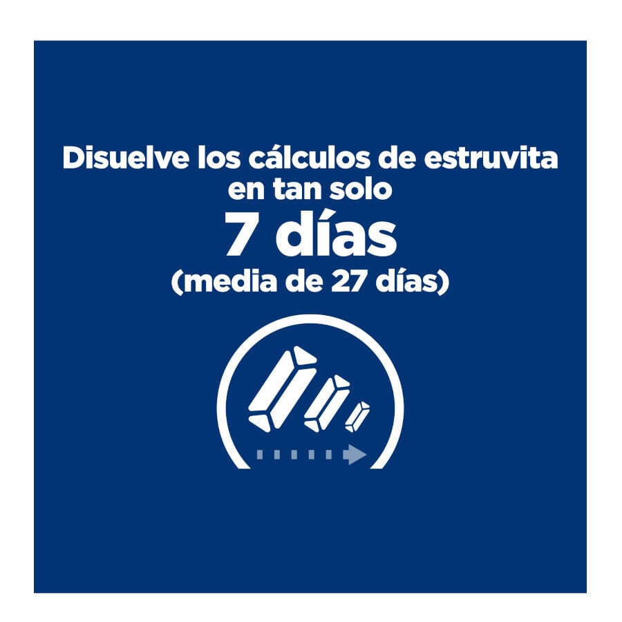 12 sobres x 85 g Hill's Prescription Diet Urinary Care c/d Pollo sobre para gatos, , large indicador imagen numero 14