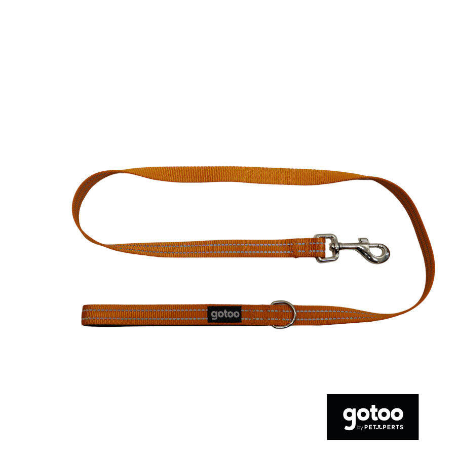 Gotoo Correa de nylon reflectante naranja para perros, , large indicador imagen numero 2