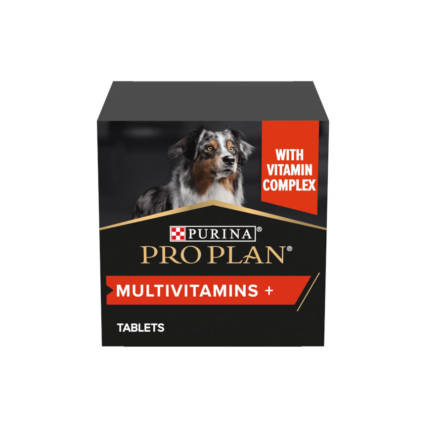 67 g Pro Plan Multivitamin Suplemento para perros, , large Imagen numero 2