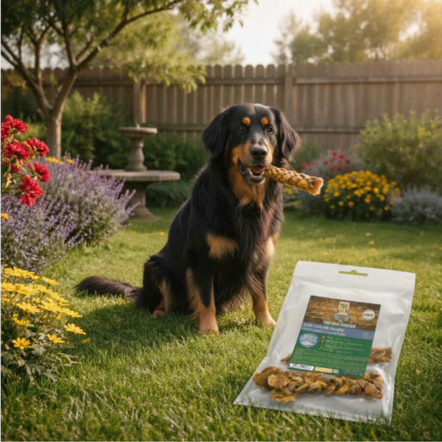 70 g. True Origins Trenzas Rosada Snack para perros, , large indicador imagen numero 1