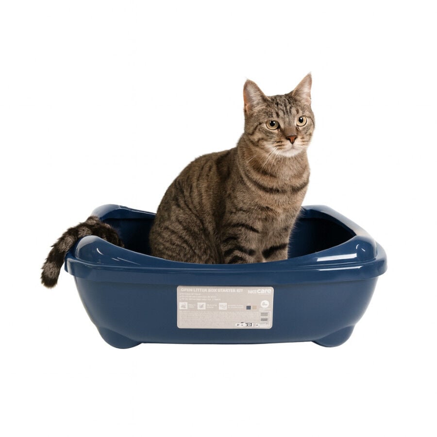 Nice Care Kit Azul para Gatos, , large Imagen numero 2