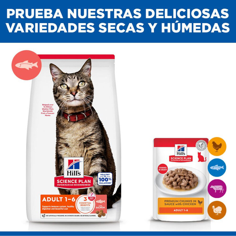 10 kg Hill's Science Plan Adult Pienso Salm&oacute;n para gatos, , large indicador imagen numero 8