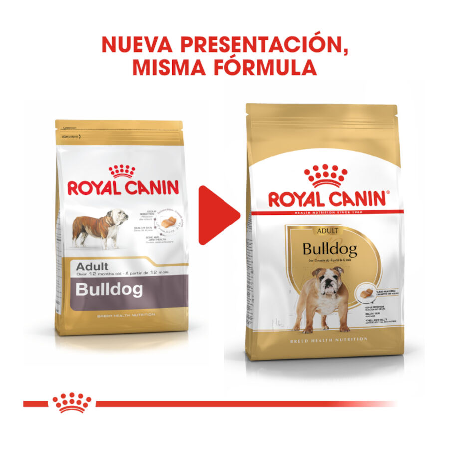 12 kg Royal Canin Adult Bulldog pienso para perros, , large indicador imagen numero 3