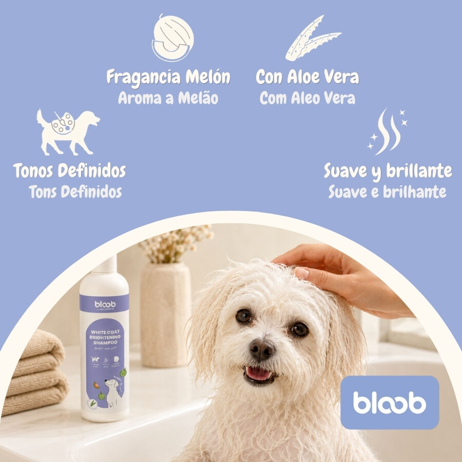Bloob Champ&uacute; Realzador Mantos Blanco Mel&oacute;n para perros, , large indicador imagen numero 3