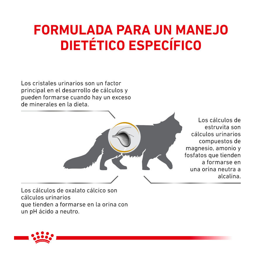 7 kg Royal Canin Veterinary Urinary pienso para gatos, , large indicador imagen numero 5