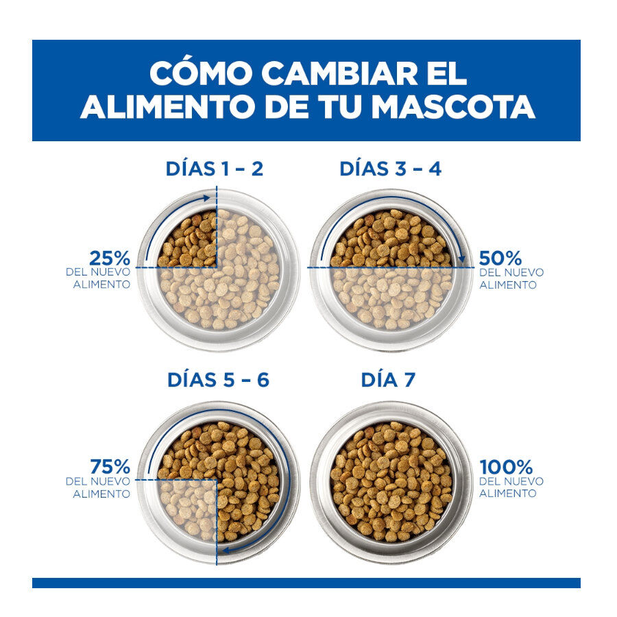85 g Hill's Science Plan Kitten Pescado Azul sobre para gatos, , large indicador imagen numero 9