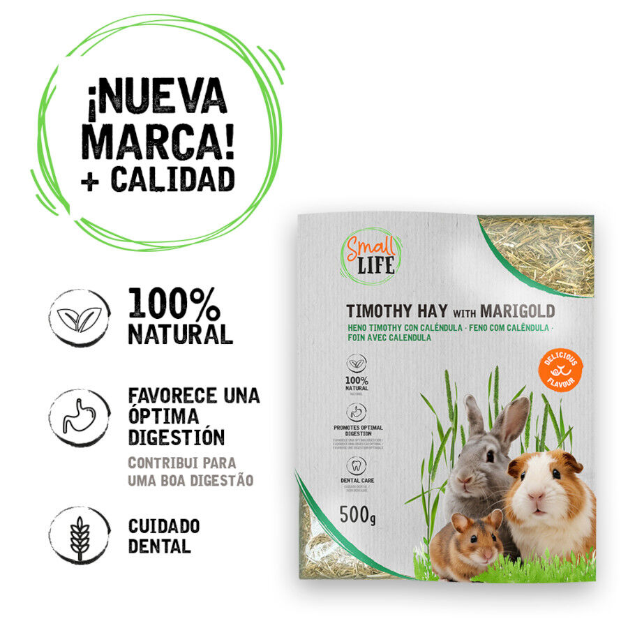 Small Life Heno Timothy con Calendura para roedores, , large indicador imagen numero 2