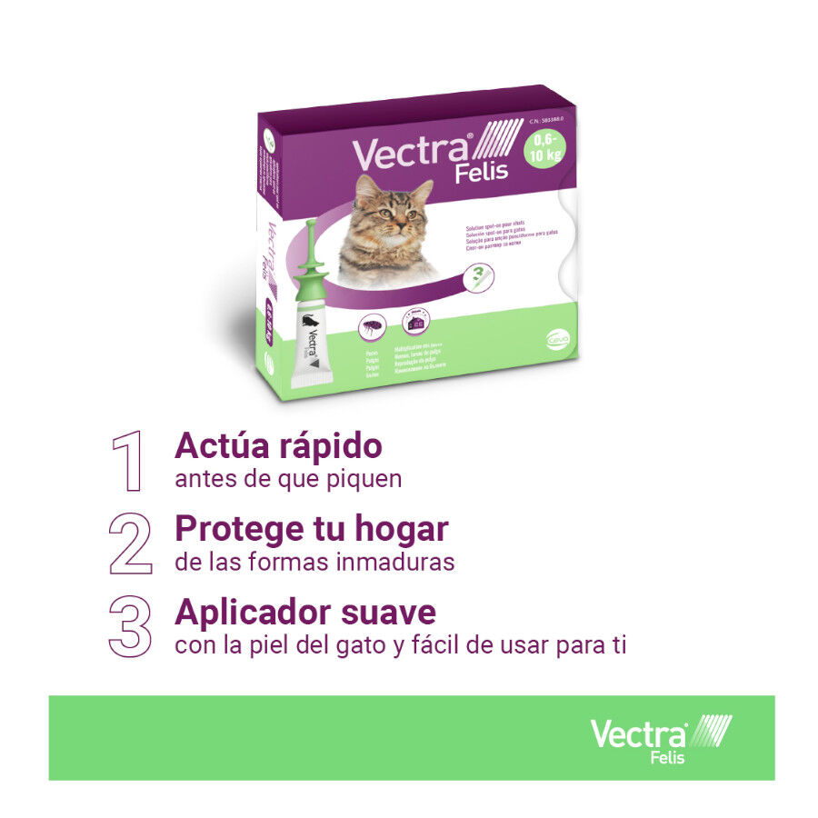 Vectra Felis Pipetas Antiparasitarias para gatos - Pack 3, , large indicador imagen numero 5