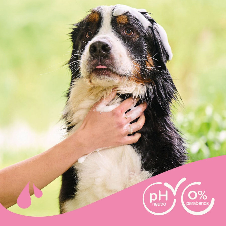 Beaphar Pelo Largo Champ&uacute; para perros, , large indicador imagen numero 6