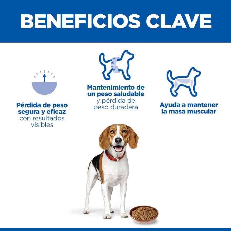363 g Hill's Adult Perfect Weight Pollo y Vegetales lata para perros, , large indicador imagen numero 5