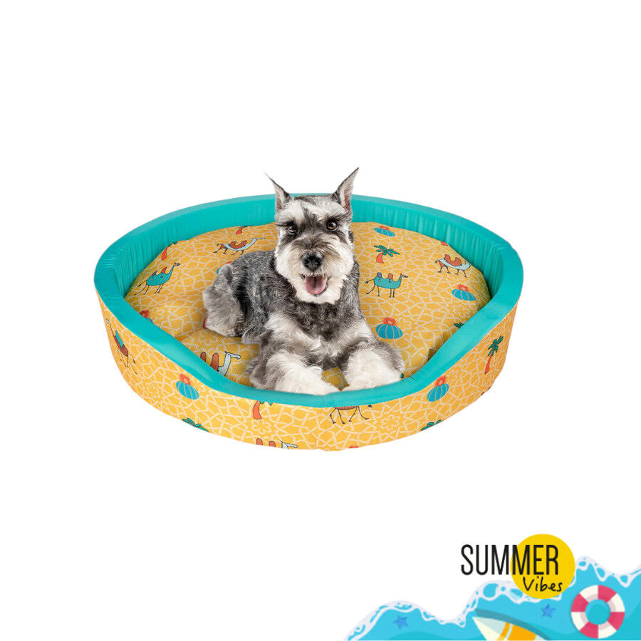 Summer Vibes Camel Fresh Cama refrescante para perros, , large indicador imagen numero 2