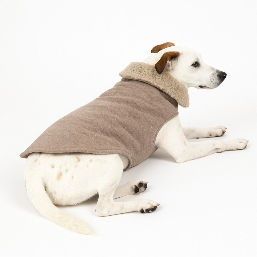 Outech Abrigo Marr&oacute;n Borreguillo para perros, , large indicador imagen numero 3