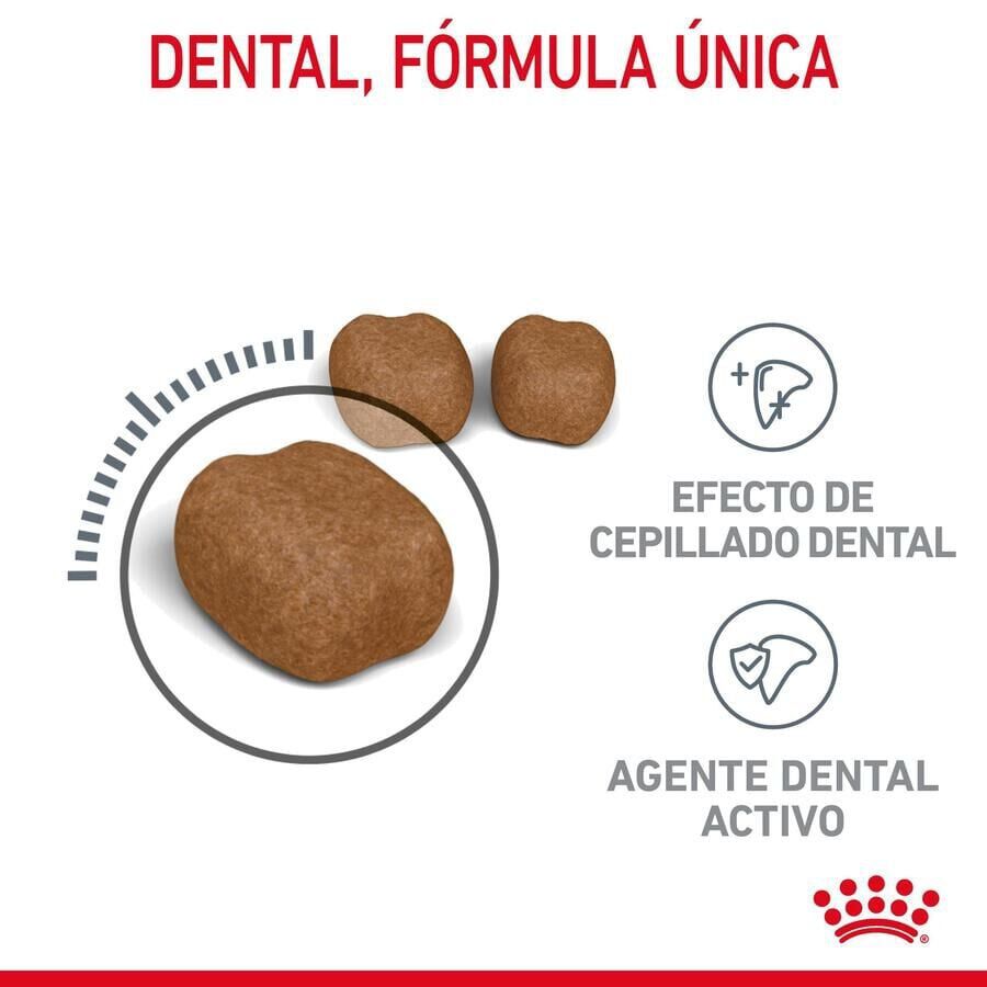 8 kg Royal Canin Adult Oral pienso para gatos, , large indicador imagen numero 5