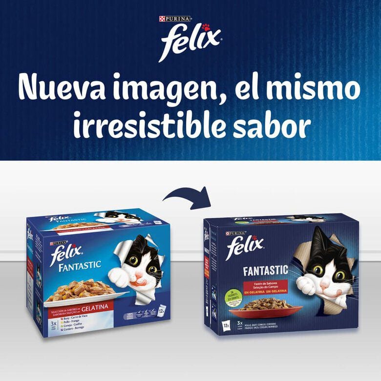 4 sobres x 85 g Felix Fantastic Duo Pescado en Gelatina sobre para gatos, , large indicador imagen numero 7