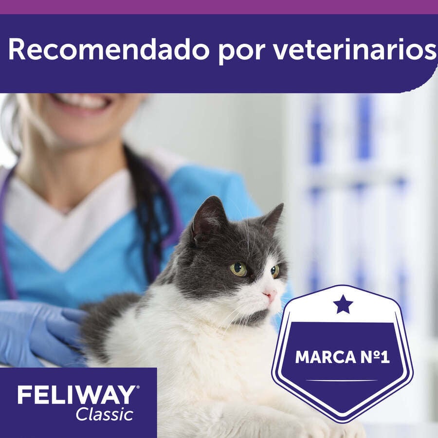 Feliway Classic Difusor y/o Recambio Tranquilizante para gatos, , large indicador imagen numero 9