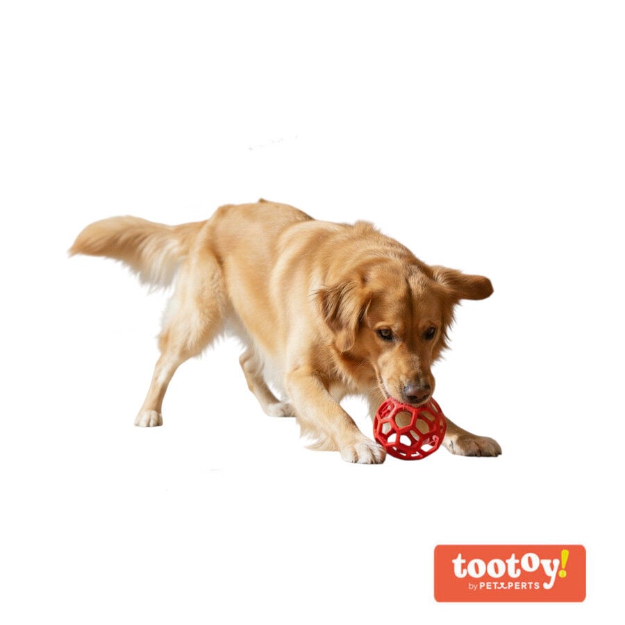 Tootoy! Pelota Easy Grip Hexagonal para perros, , large Imagen numero 7