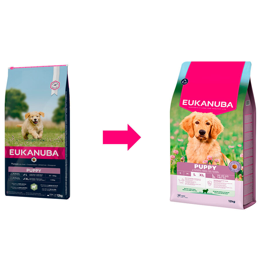 Eukanuba Puppy Large Cordero y Arroz pienso para perros