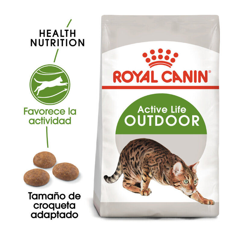 10 kg Royal Canin Active Life Outdoor pienso para gatos, , large Imagen numero 2