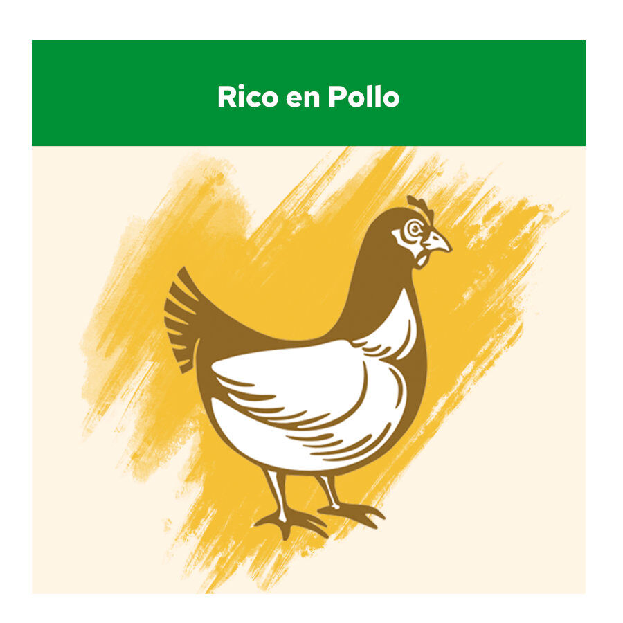 15 kg Cat Chow Sterilized Pollo Pienso para gatos, , large Imagen numero 4