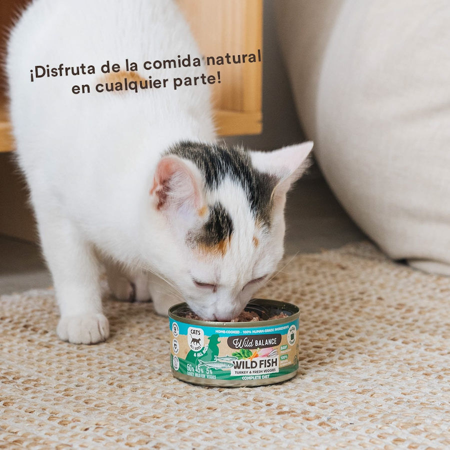120 g Wild Balance BARF Pescado y Pavo lata para gatos, , large indicador imagen numero 5