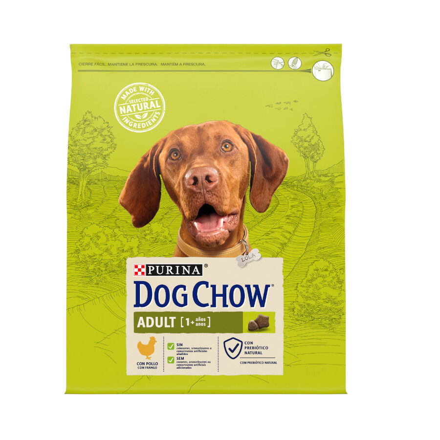14 kg Dog Chow Adult Pollo pienso para perros, , large Imagen numero 1
