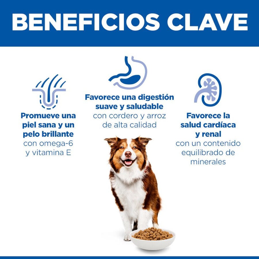 14 kg Hill's Science Plan Mature Adult Medium Cordero pienso para perros, , large Imagen numero 5