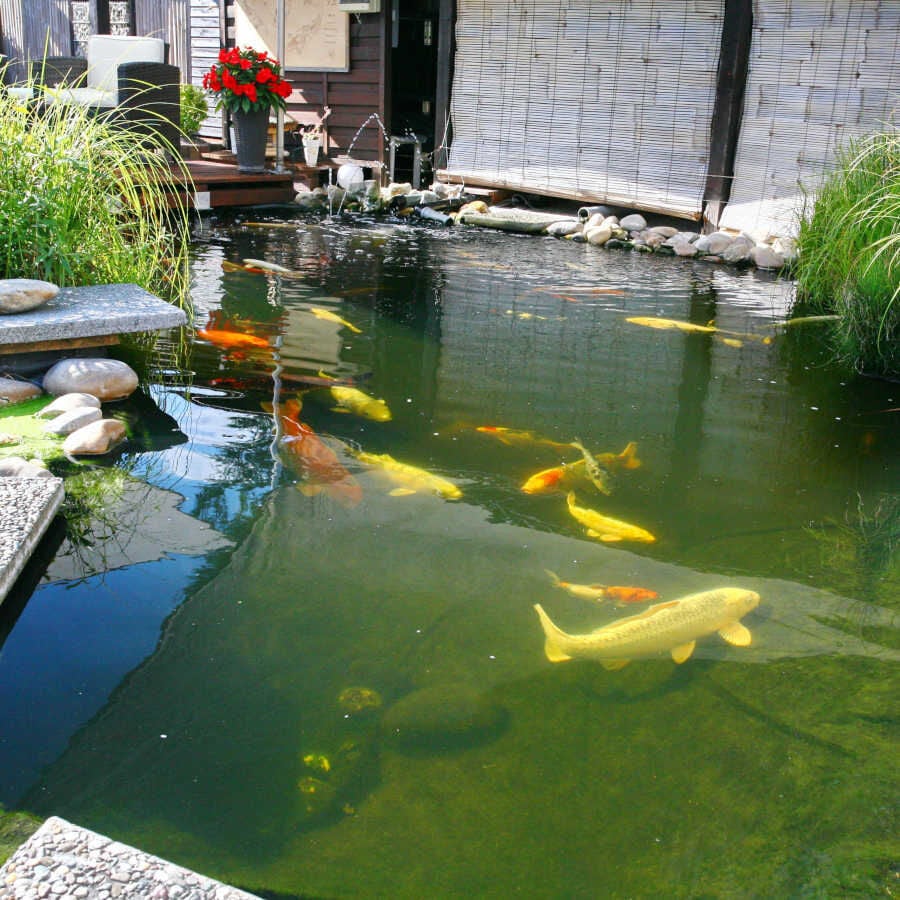 JBL ProPond Flakes alimento para peces, , large indicador imagen numero 9