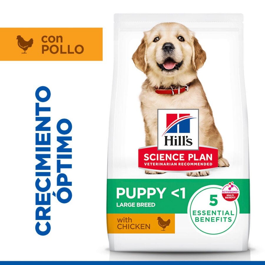 14.5 kg Hill's Science Plan Puppy large Pollo pienso para perros, , large indicador imagen numero 2