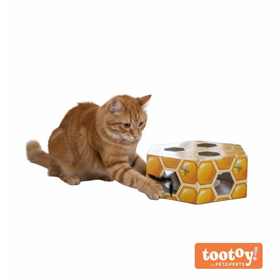 Tootoy! Panal de abeja interactivo con plumas para gatos, , large indicador imagen numero 9