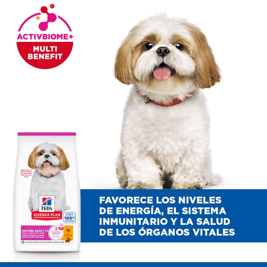 6 kg Hill's Science Plan Mature Adult Small y Mini pollo pienso para perros, , large Imagen numero 4