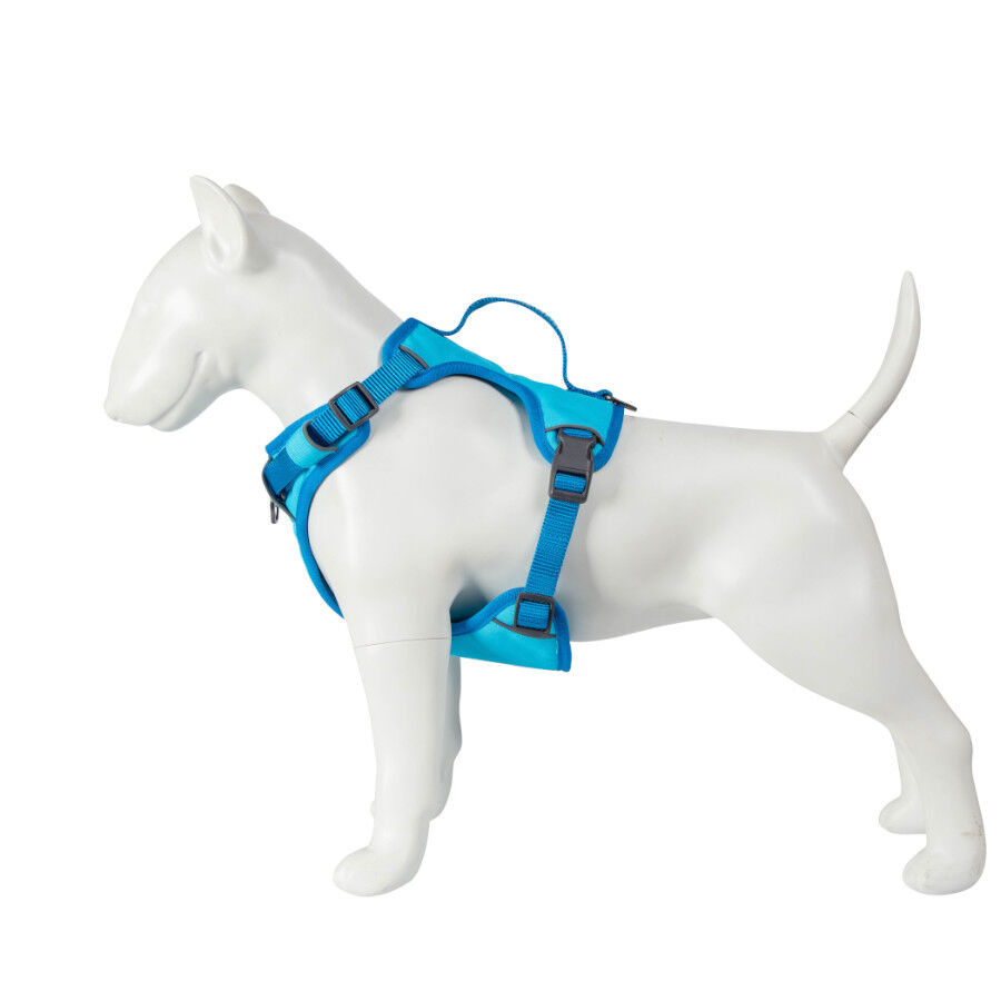 Freedog Cool Pro Tech Arn&eacute;s Refrescante Azul para perros, , large indicador imagen numero 9