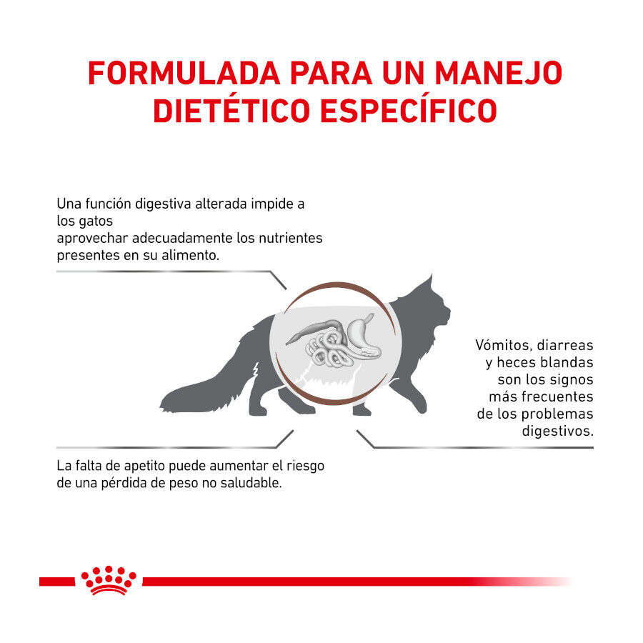 4 kg Royal Canin Veterinary Gastrointestinal pienso para gatos, , large indicador imagen numero 3