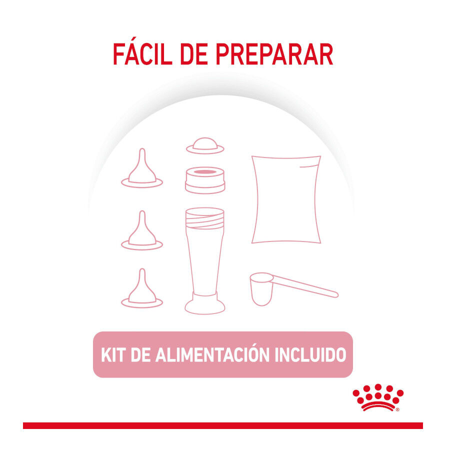 300 g Royal Canin Leche para gatitos primer a&ntilde;o, , large indicador imagen numero 7