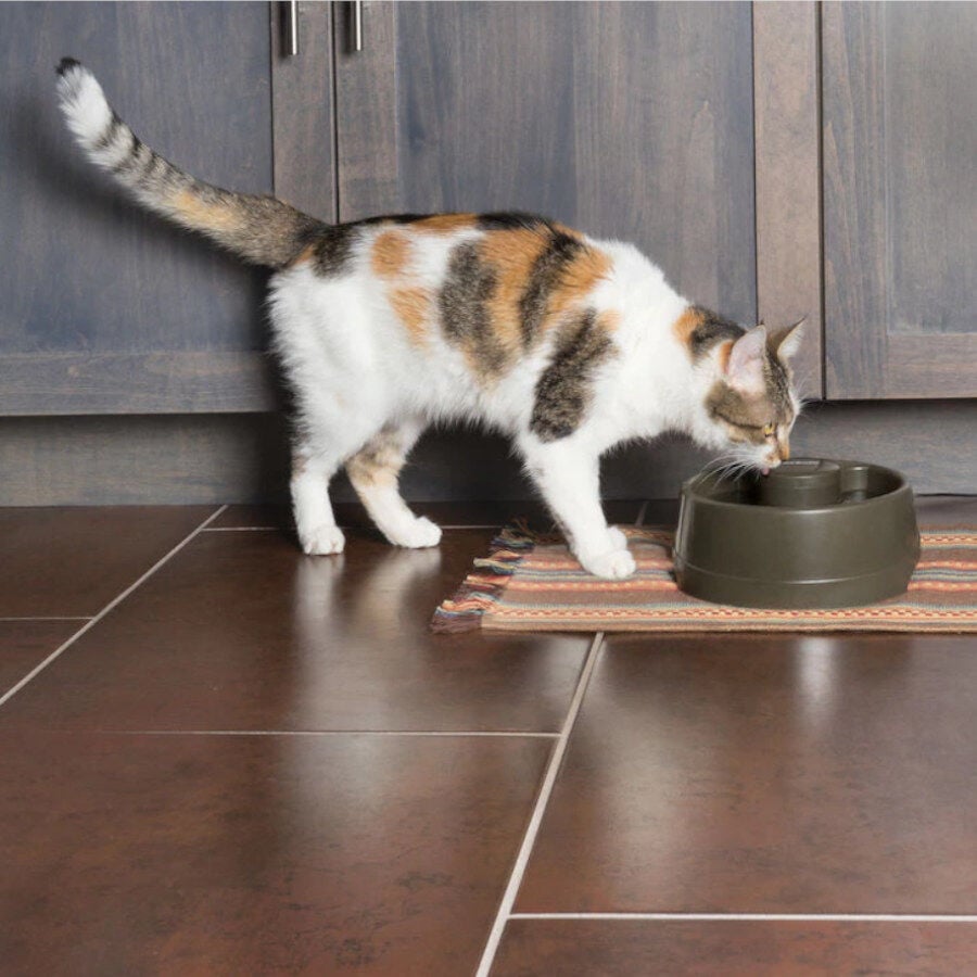 Petsafe Drinkwell Bebedero Autom&aacute;tico para perros y gatos, , large Imagen numero 4