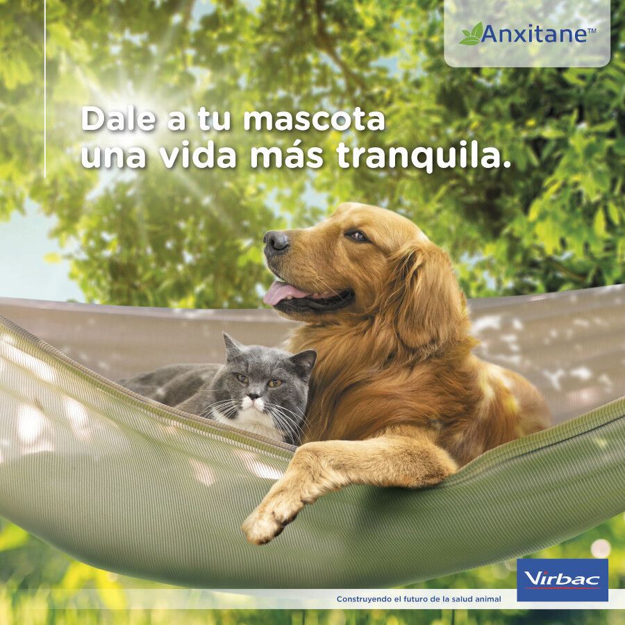 S Virbac Anxitane Relajantes en Comprimidos para perros y gatos, , large indicador imagen numero 7