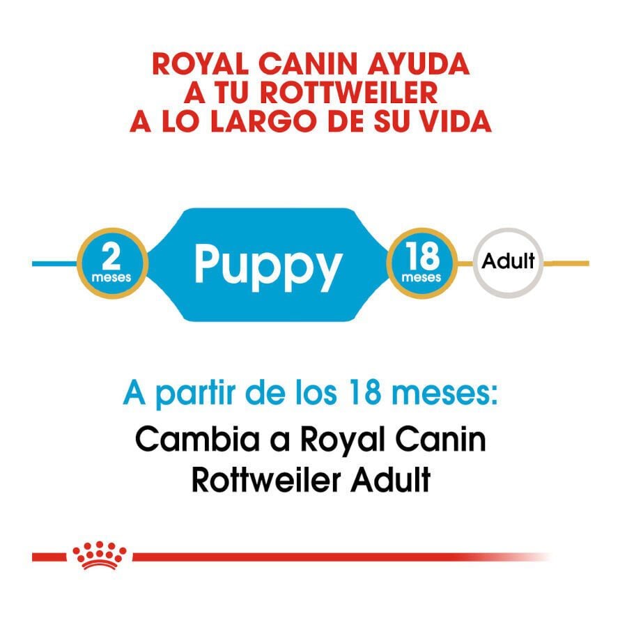 12 kg Royal Canin Puppy Rottweiler pienso para perros , , large indicador imagen numero 6