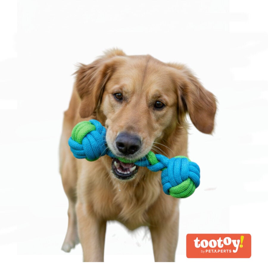 Tootoy! Hueso Mordedor de Cuerda Verde y Azul para perros, , large indicador imagen numero 7