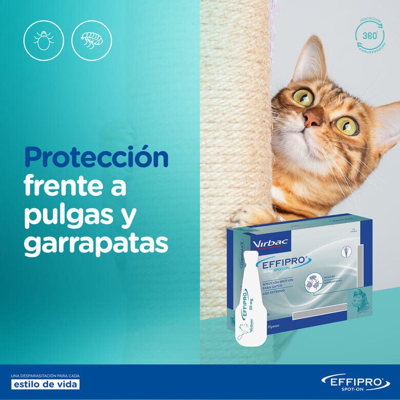 Virbac Effipro pipetas antiparasitarias gatos, , large Imagen numero 6