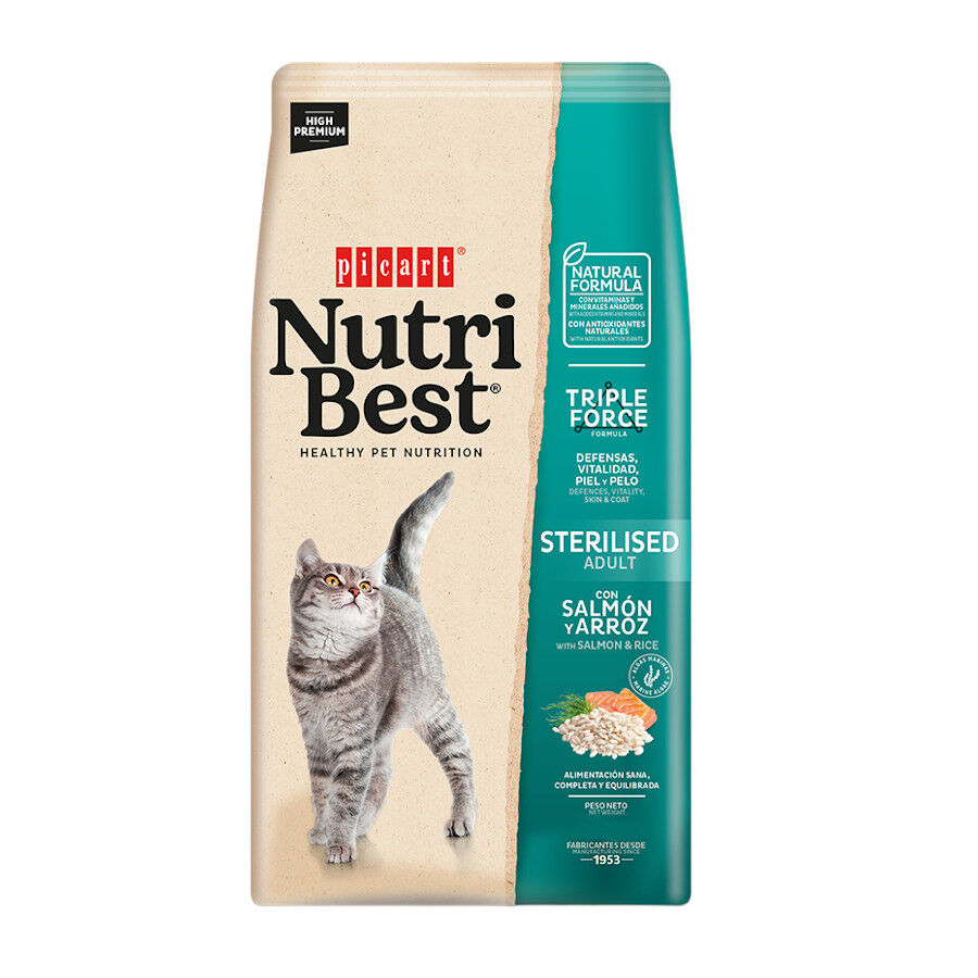 Nutribest Adult Sterilised Salm&oacute;n y Arroz pienso para gatos