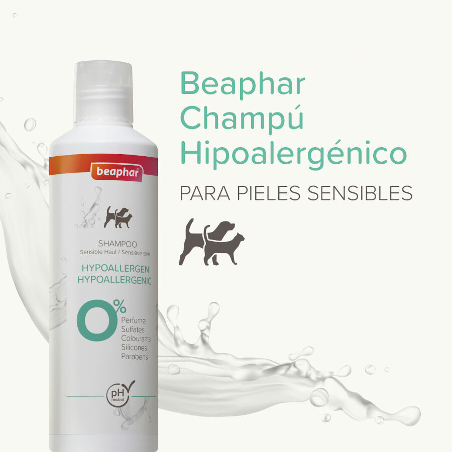 Beaphar Champ&uacute; Hipoalerg&eacute;nico para perros y gatos, , large indicador imagen numero 2