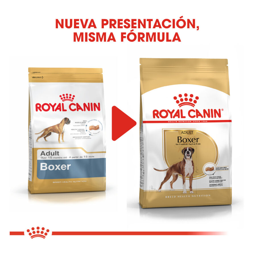 12 kg Royal Canin Adult Boxer pienso para perros, , large indicador imagen numero 3