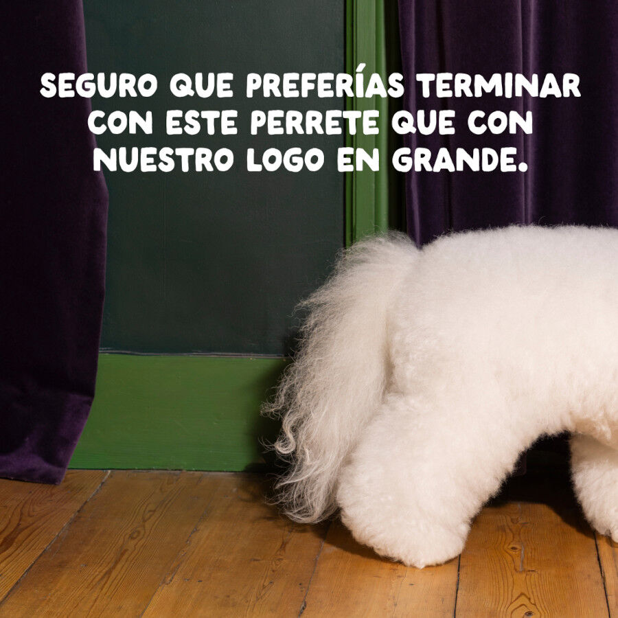 12 kg Edgard & Cooper Puppy Salm&oacute;n y Pavo pienso parra perros, , large indicador imagen numero 2