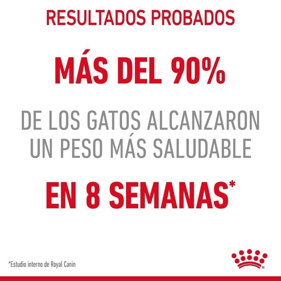 8 kg Royal Canin Adult Light Weight Care pienso para gatos, , large Imagen numero 5