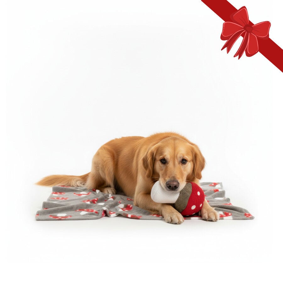 Wonder Christmas Pack Regalo Peluche y Manta Navide&ntilde;a para perros, , large indicador imagen numero 1