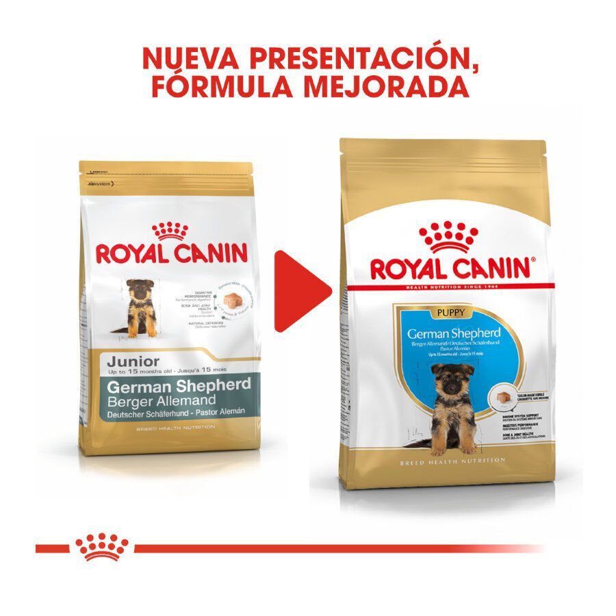 3 kg Royal Canin Puppy Pastor Alem&aacute;n pienso para perros, , large indicador imagen numero 3