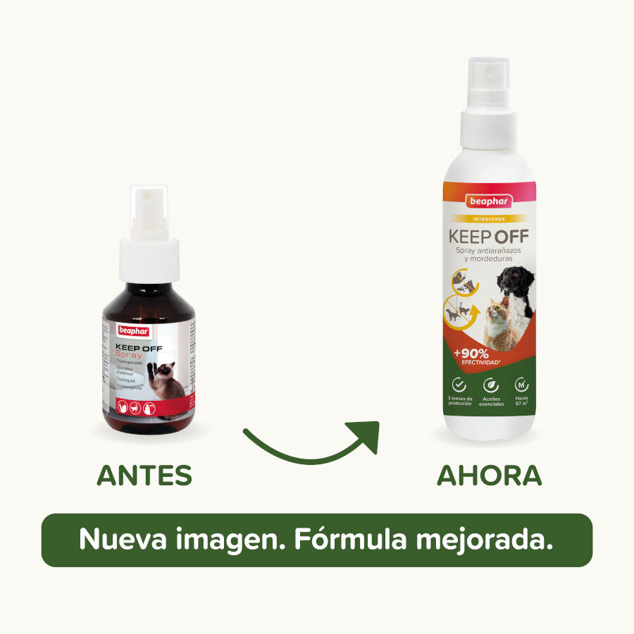 Beaphar Spray Educador  Interiores para Perros y Gatos, , large indicador imagen numero 2