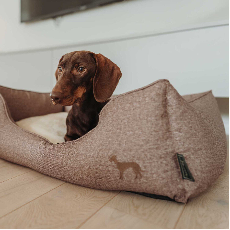 Hunter Boston Cozy Cama Marr&oacute;n para perros, , large indicador imagen numero 5